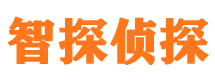 南平市私家侦探